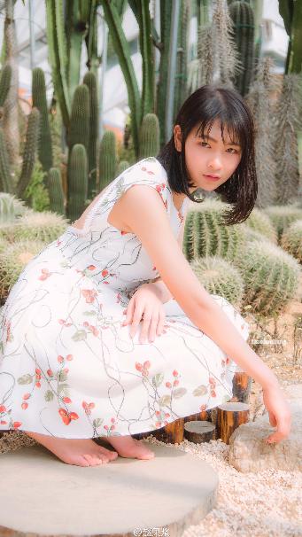 国产大片在线观看免费全集电视剧网